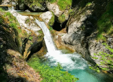 Immagine che raffigura Val Vertova